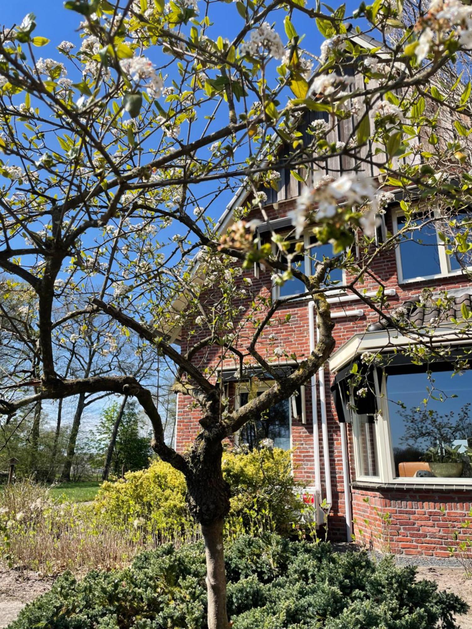 De Beekhoek